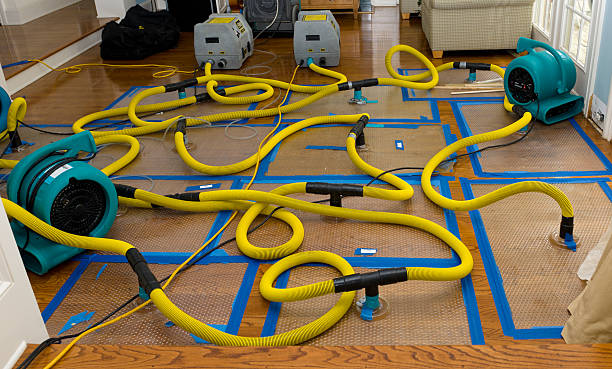 Professional Crawl Space Water Removal technician working in Jerusalem, OH